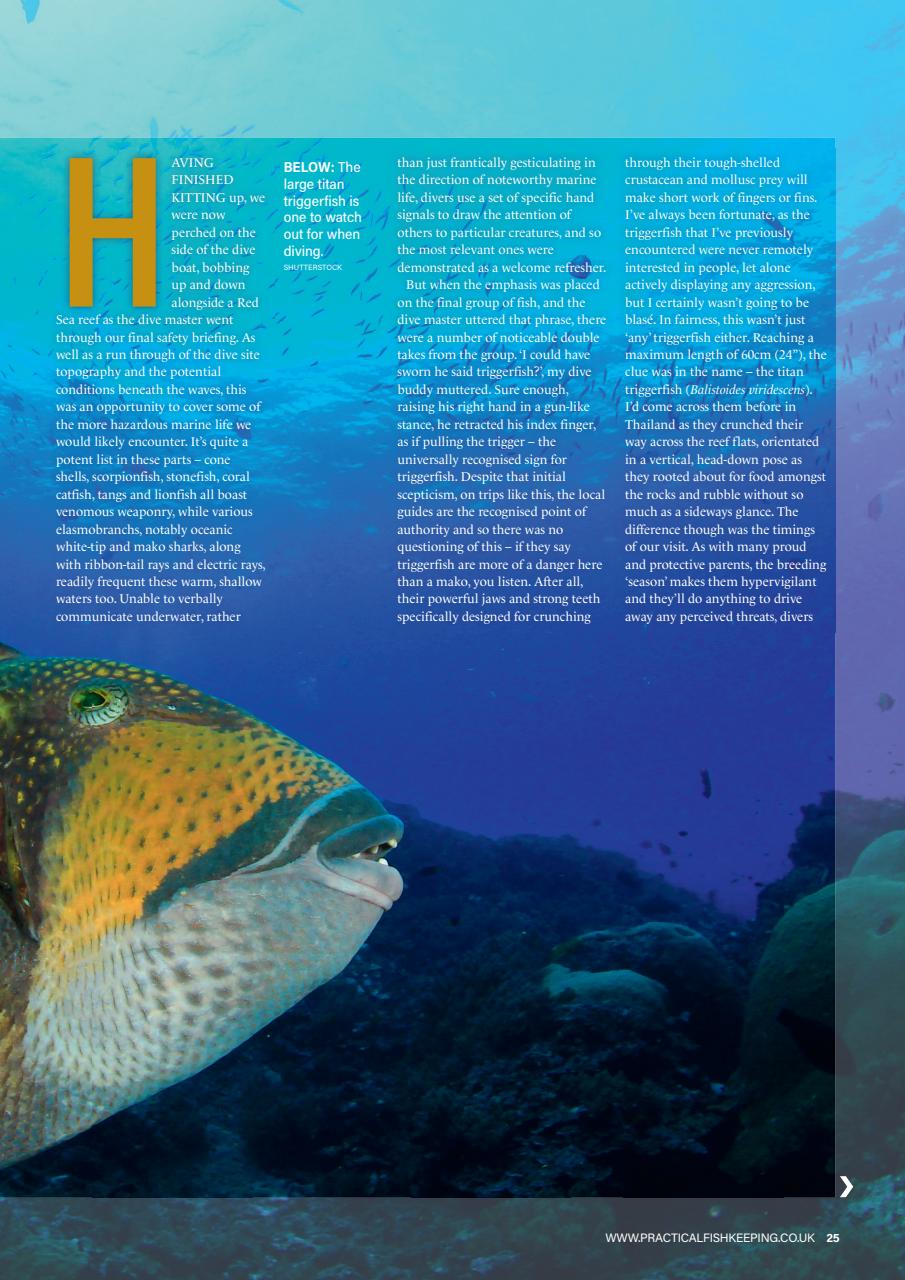 Practical Fishkeeping Preview Pages