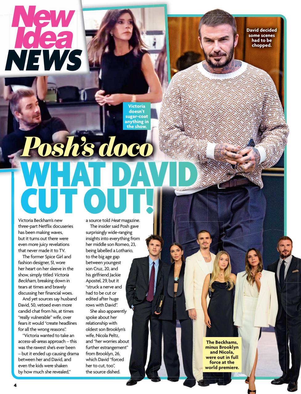 New Idea Preview Pages