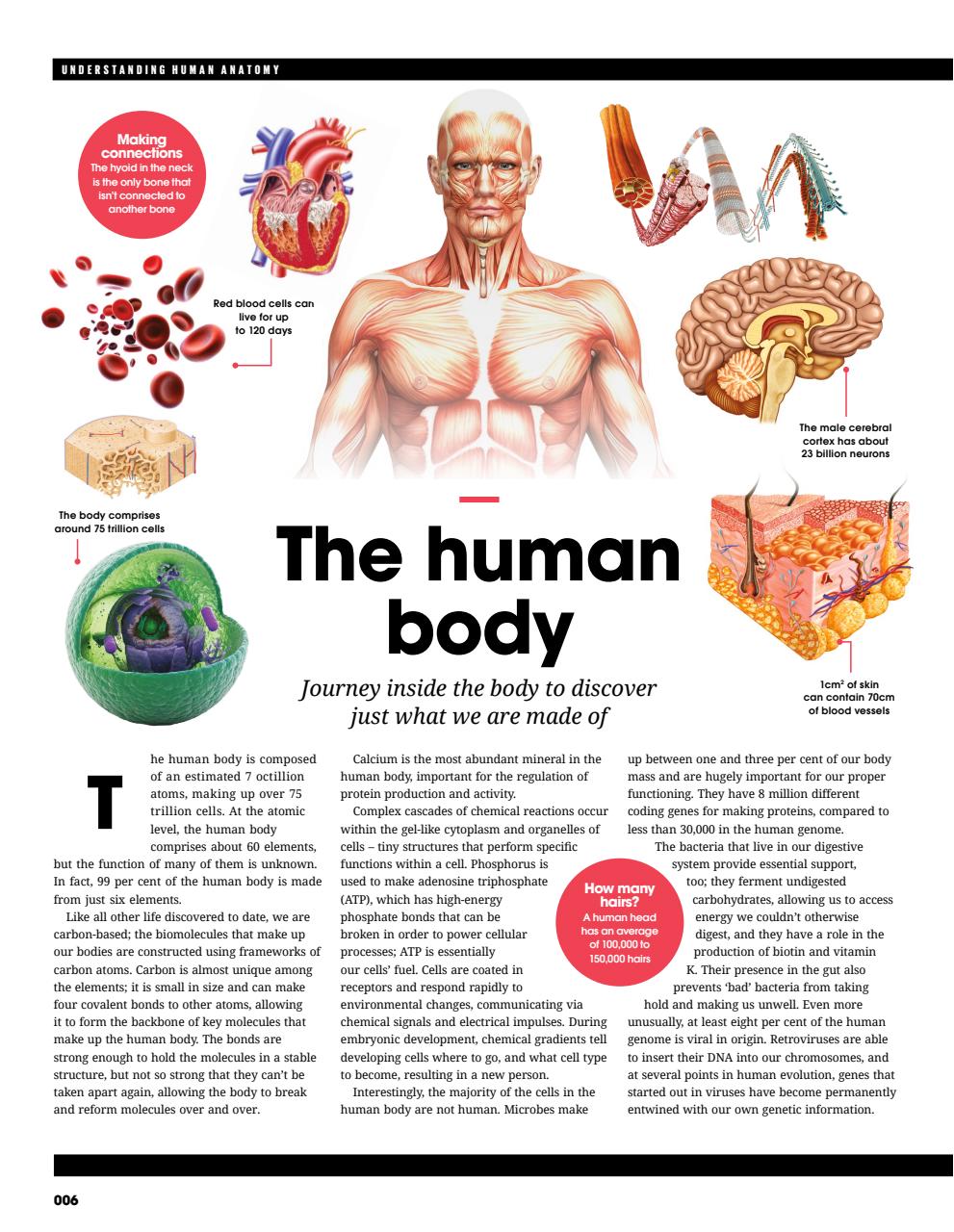 How It Works Bookazine Preview Pages