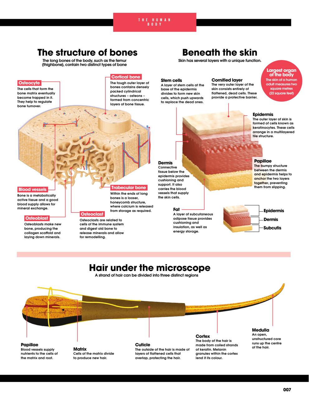 How It Works Bookazine Preview Pages