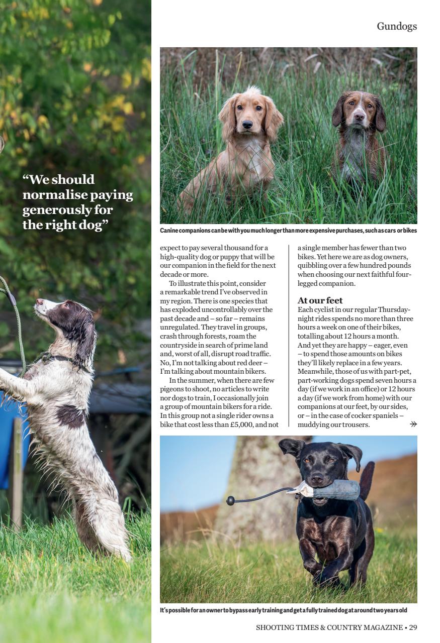 Shooting Times & Country Preview Pages