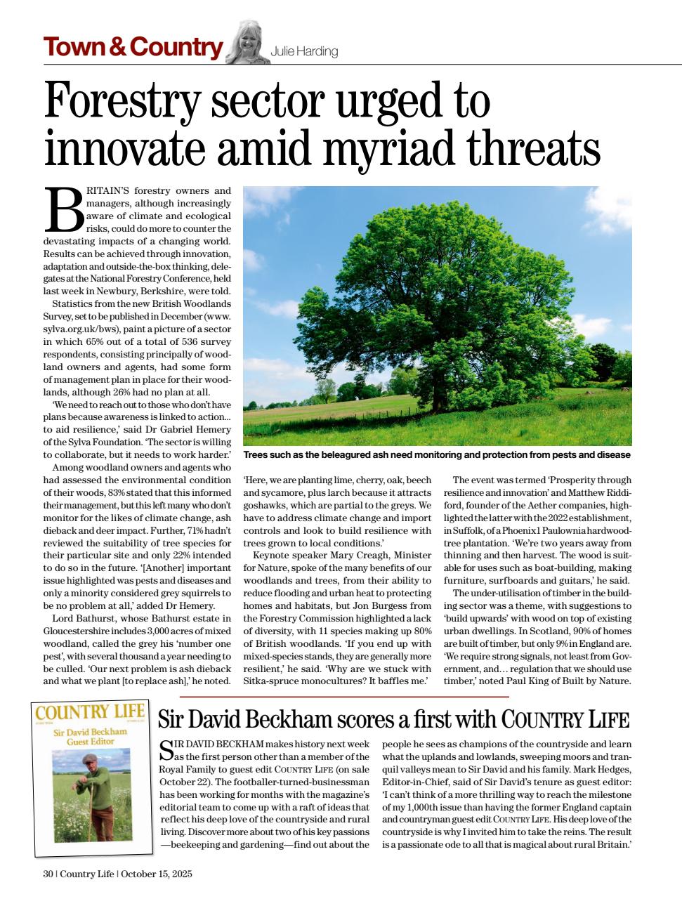 Country Life Preview Pages