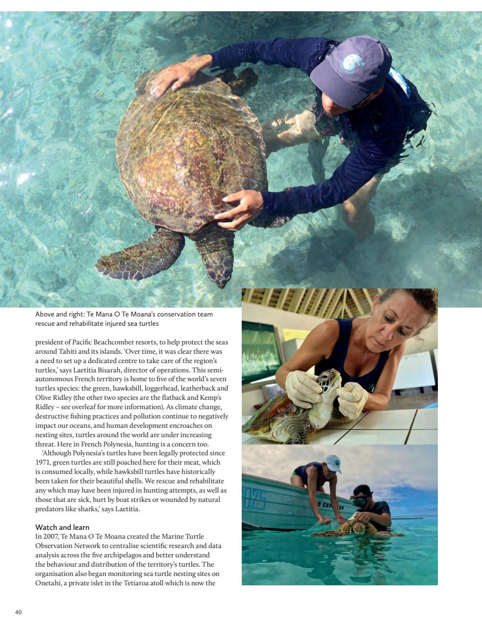 Breathe Preview Pages