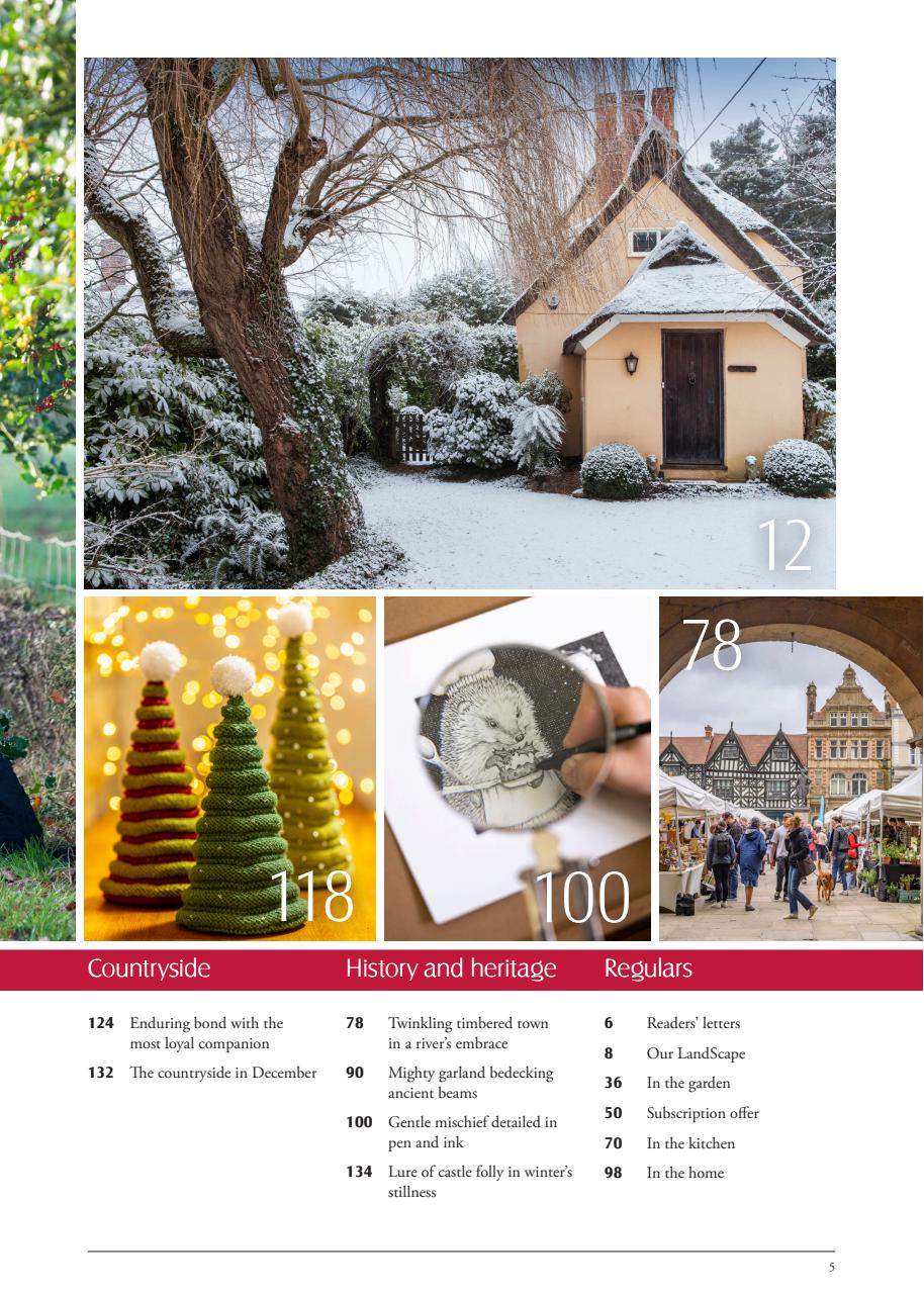 LandScape Preview Pages