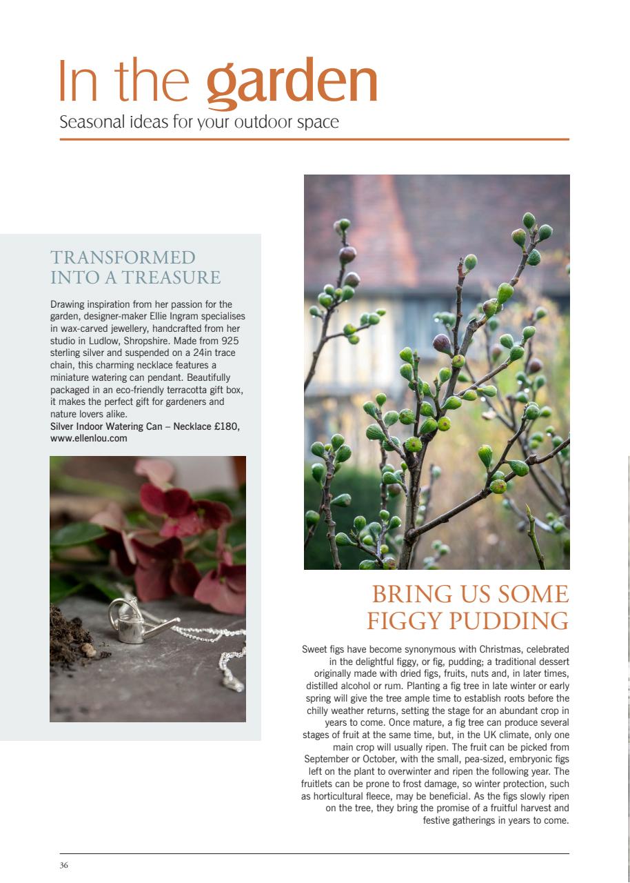 LandScape Preview Pages