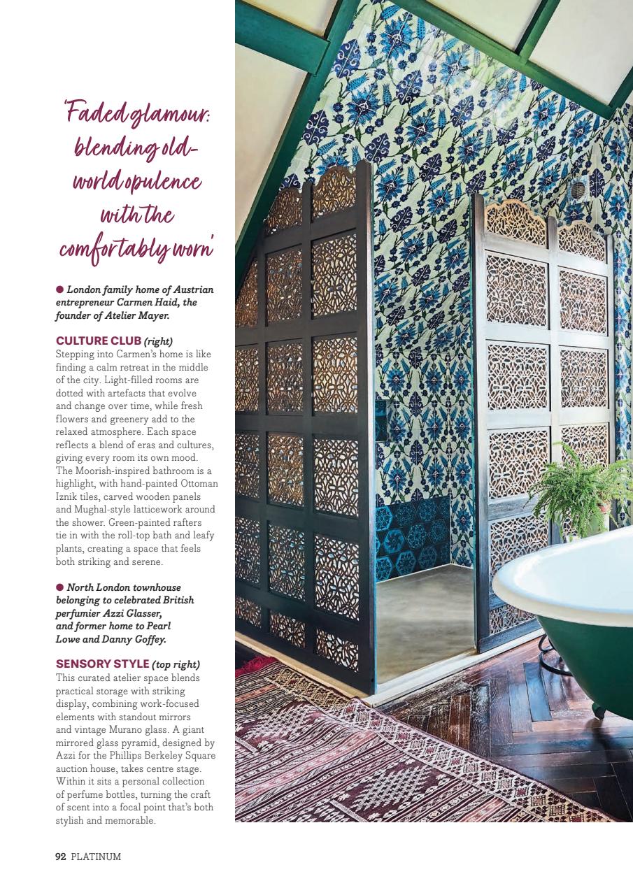 Platinum Preview Pages