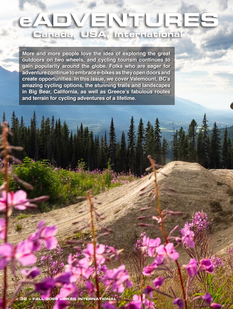 eBikes International Preview Pages