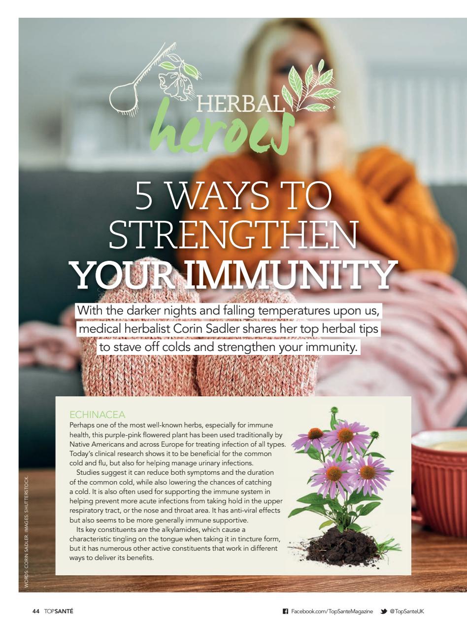 Top Sante Preview Pages