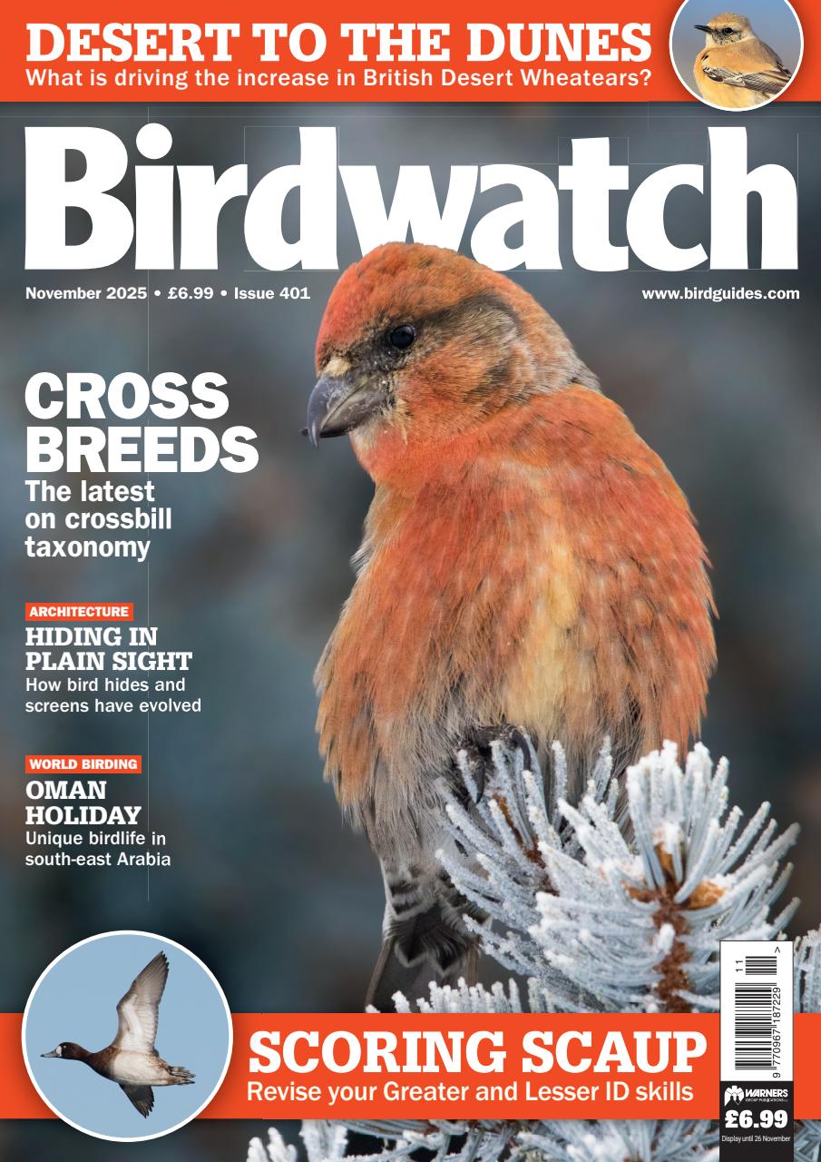 Birdwatch Magazine Preview Pages