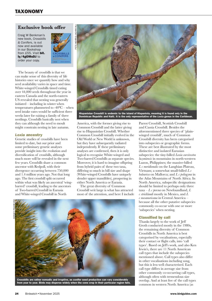 Birdwatch Magazine Preview Pages