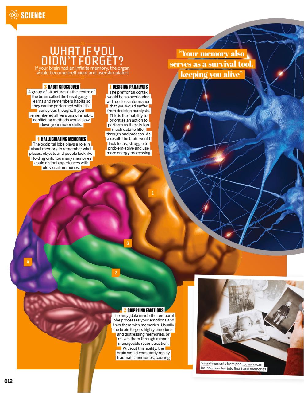 How It Works Bookazine Preview Pages