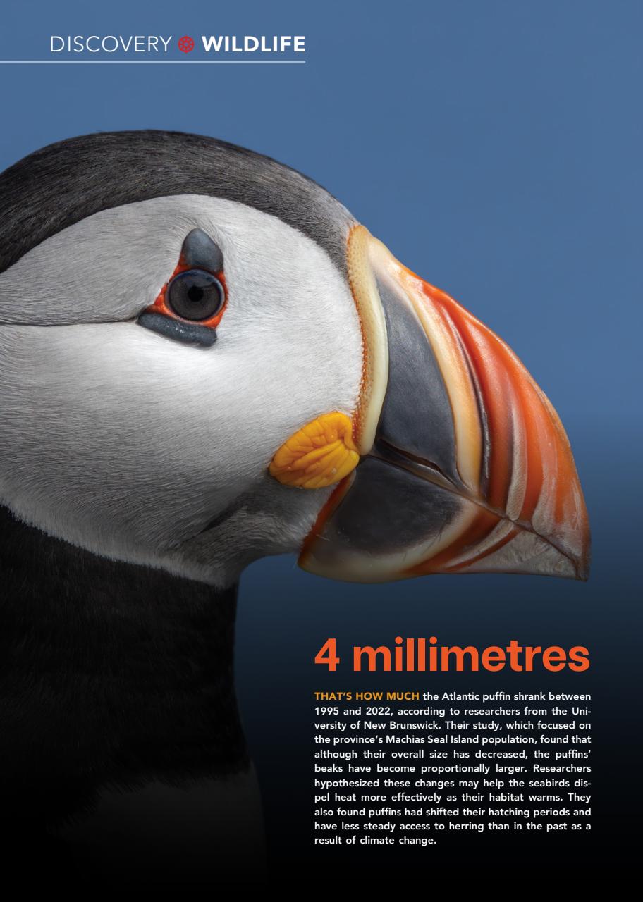 Canadian Geographic Preview Pages