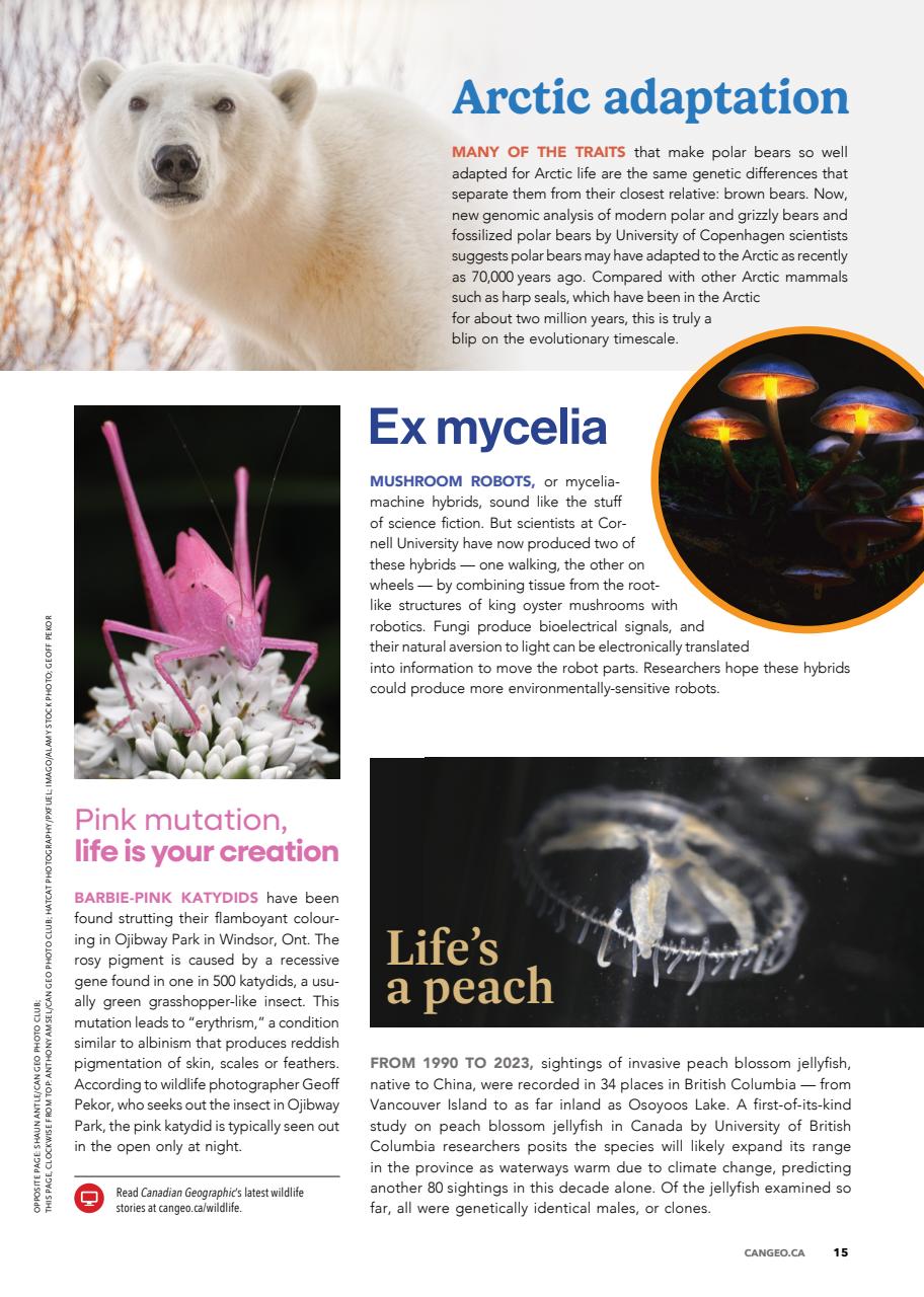 Canadian Geographic Preview Pages