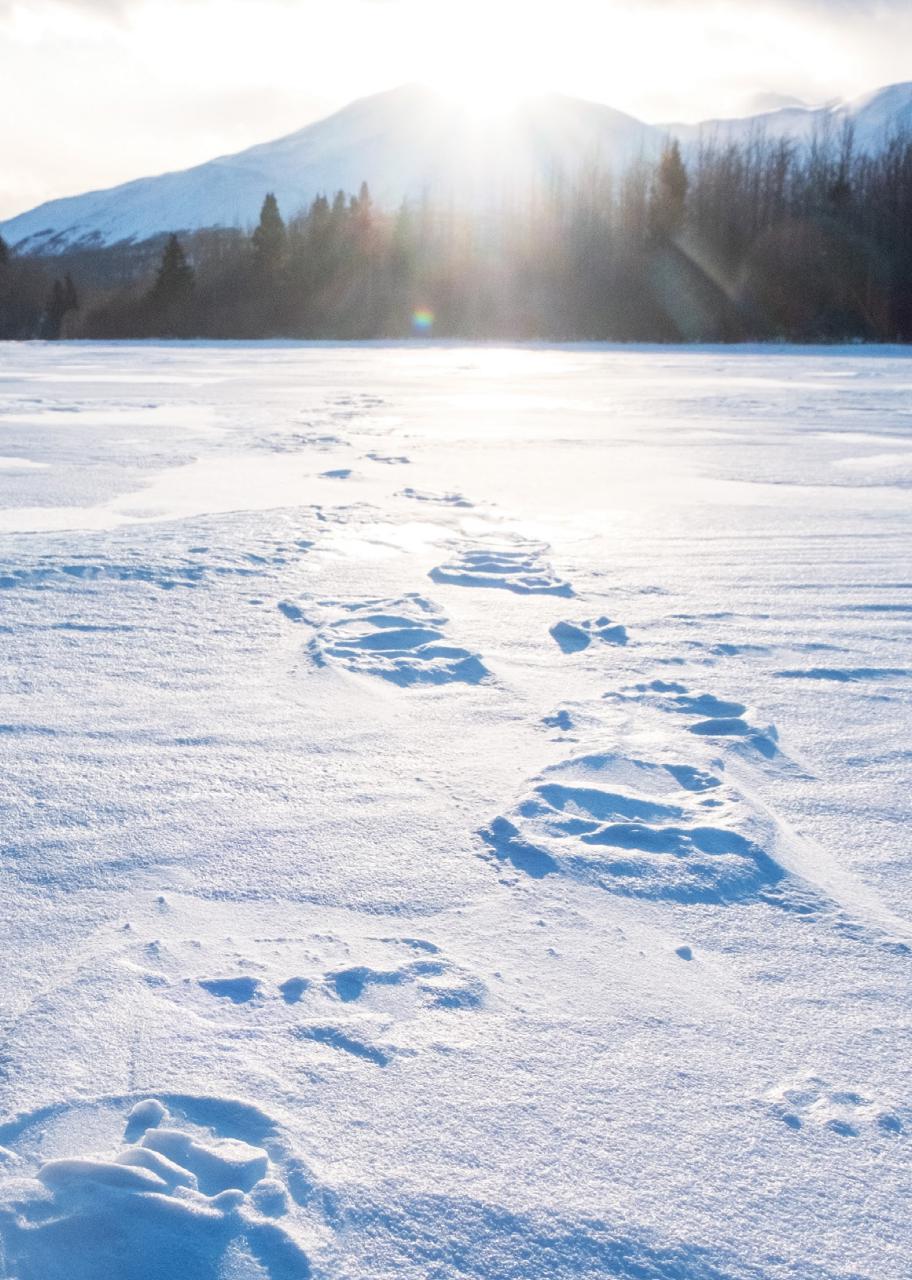 Canadian Geographic Preview Pages