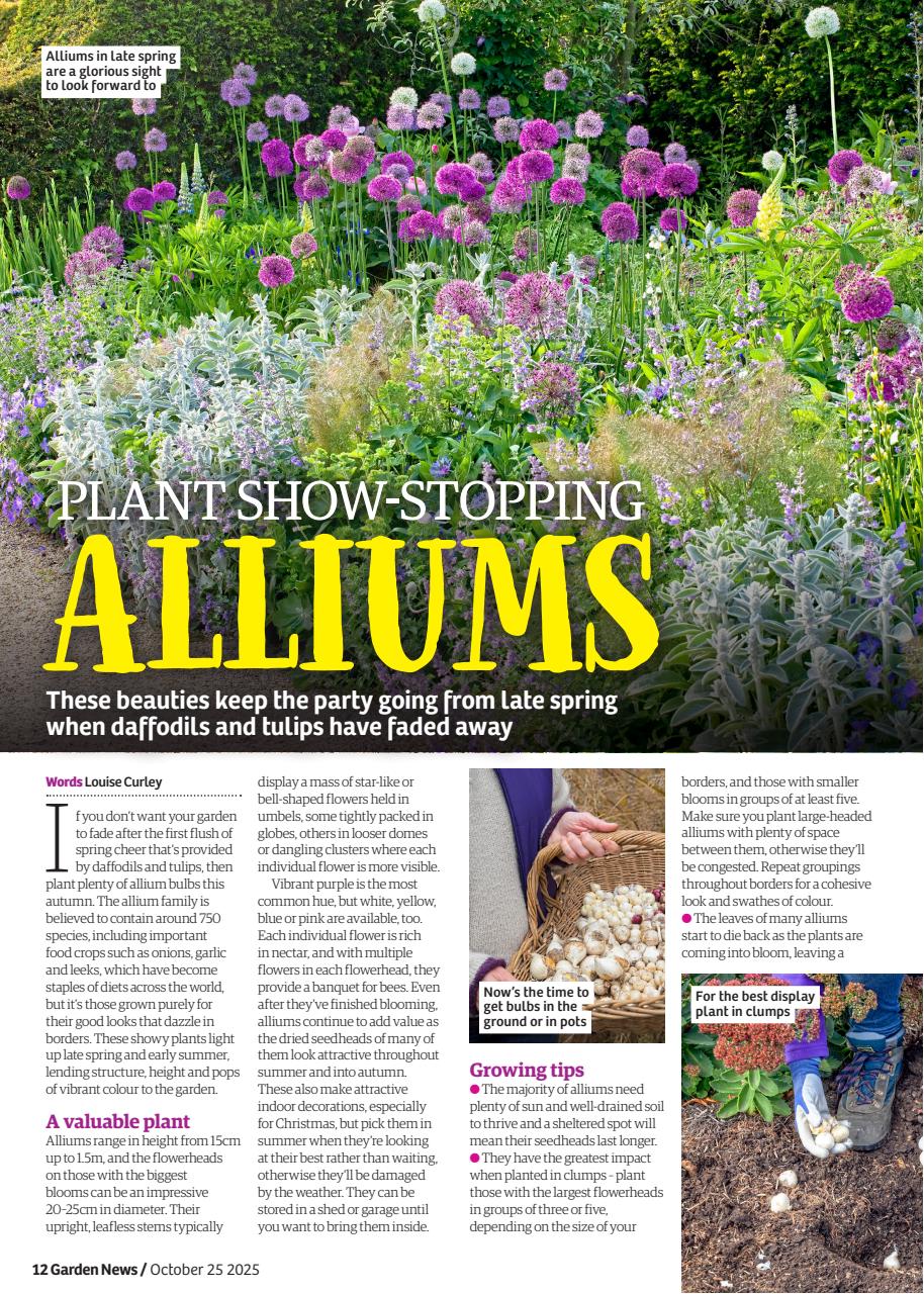 Garden News Preview Pages
