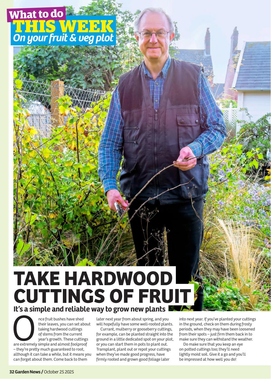 Garden News Preview Pages