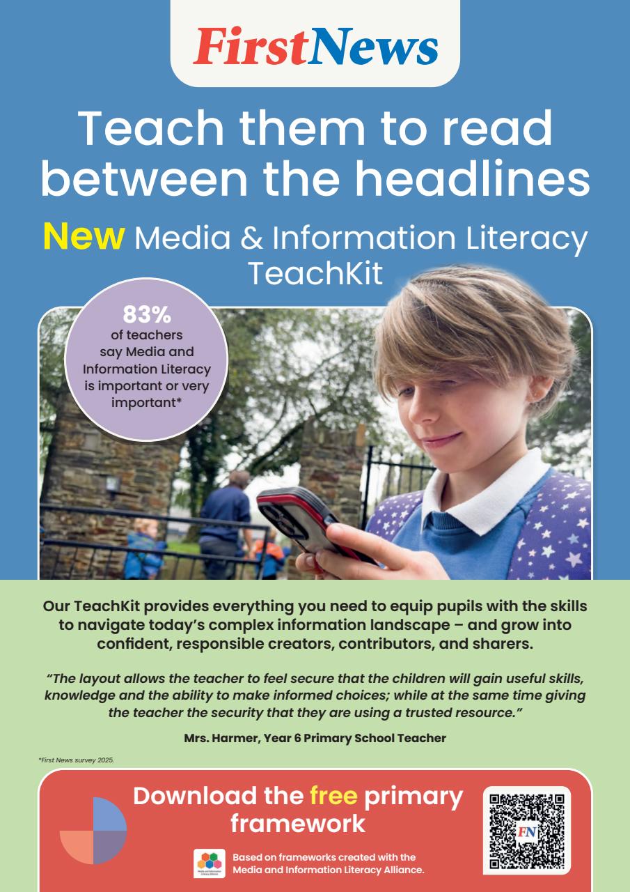 Teach Primary Preview Pages