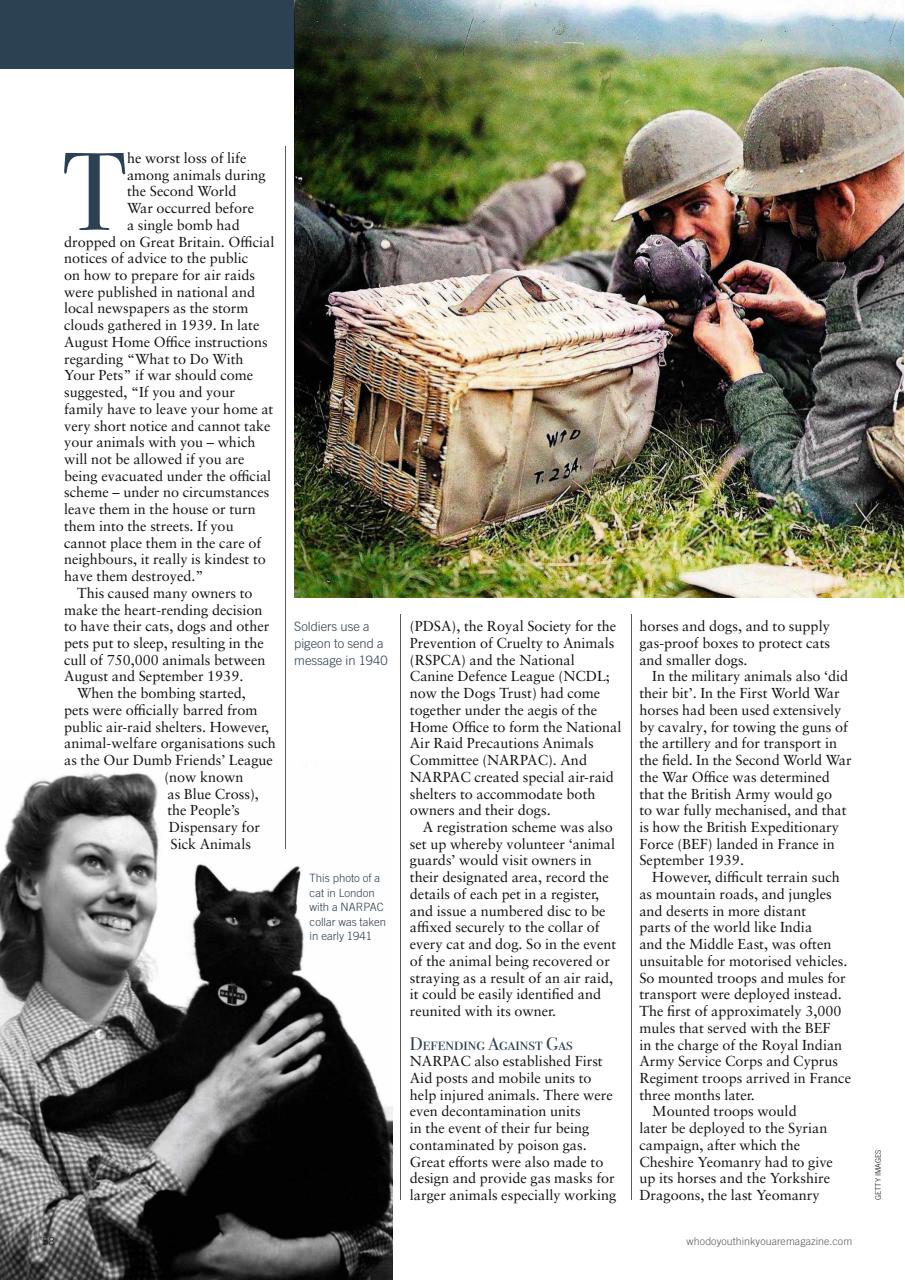 Who Do You Think You Are? Preview Pages