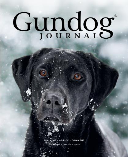 Gundog Journal issue 