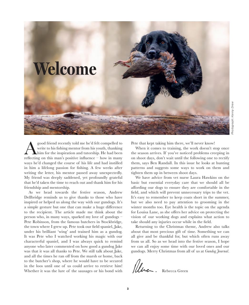 Gundog Journal Preview Pages