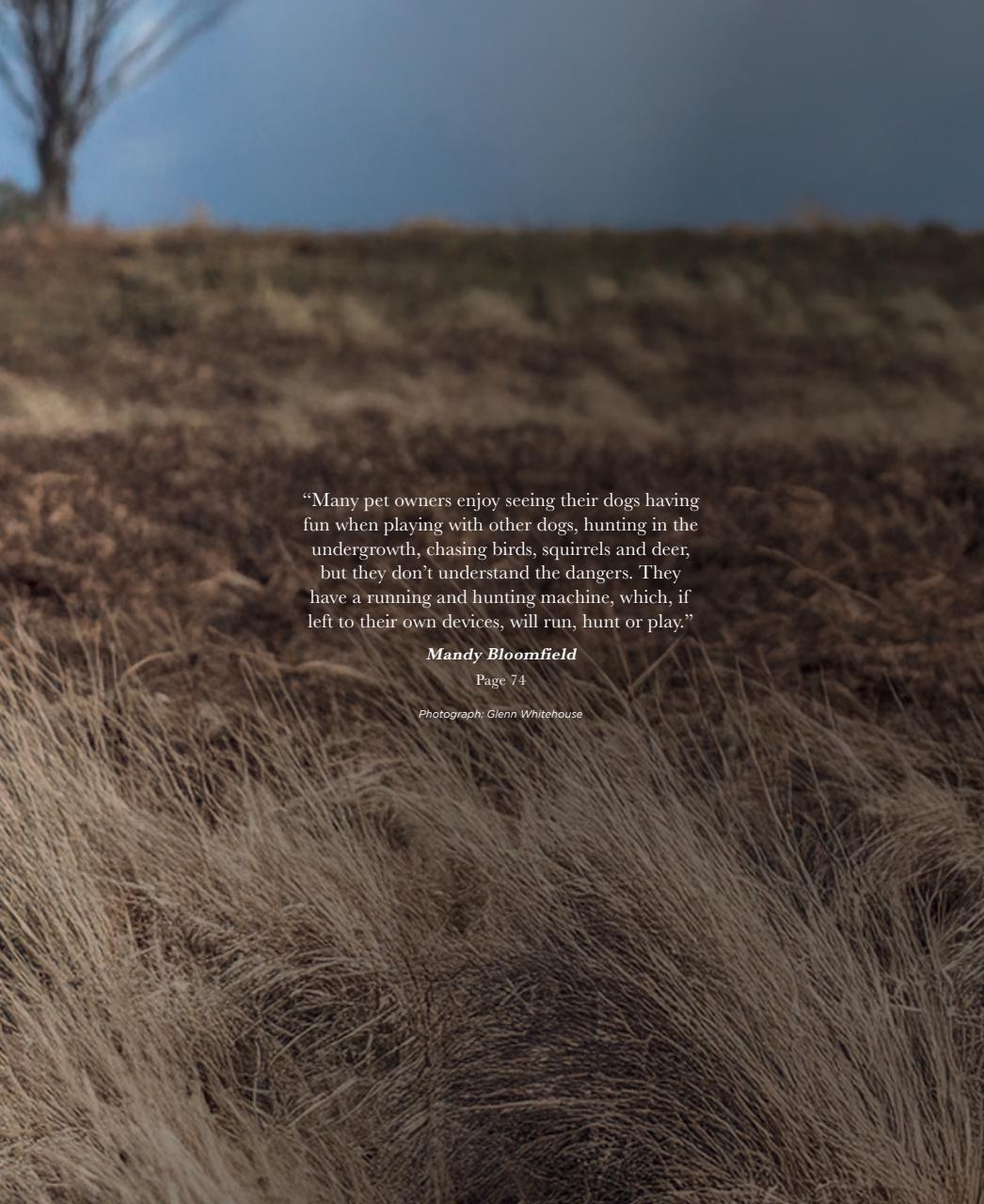 Gundog Journal Preview Pages