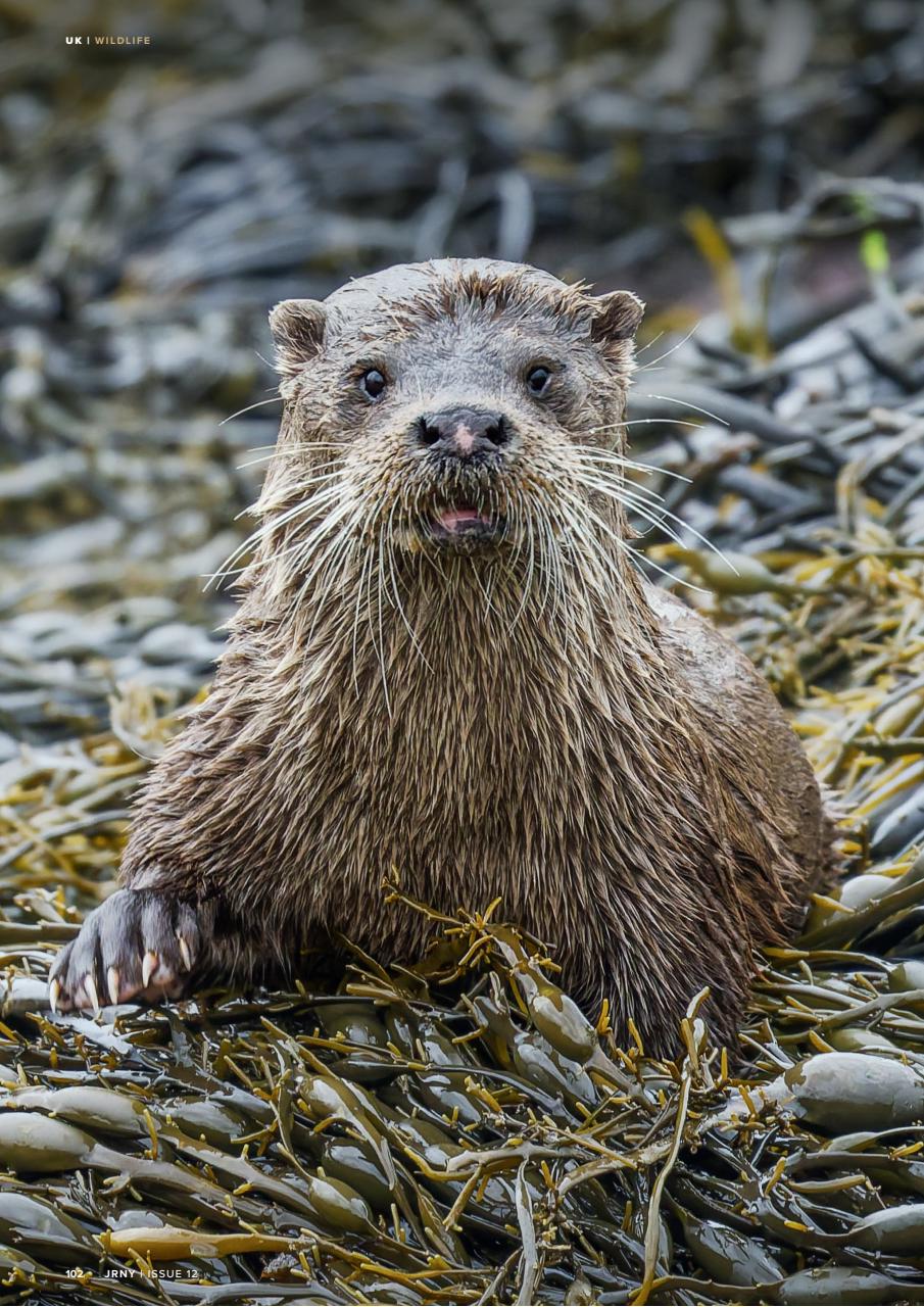 JRNY Travel Magazine Preview Pages