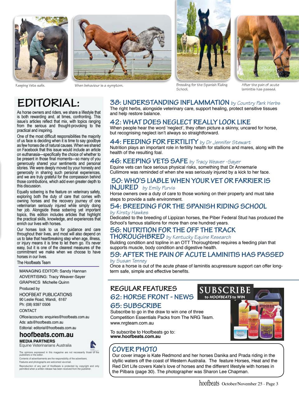 Hoofbeats Preview Pages