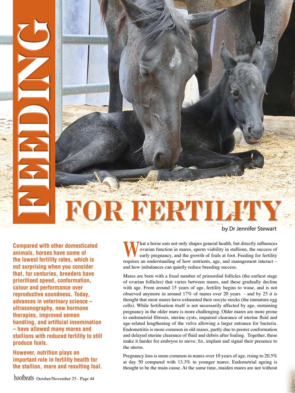 Hoofbeats Preview Pages