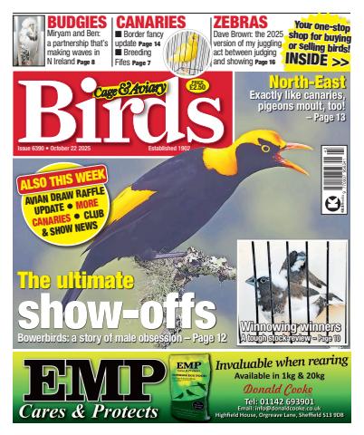 22nd October 2025 issue 22nd October 2025