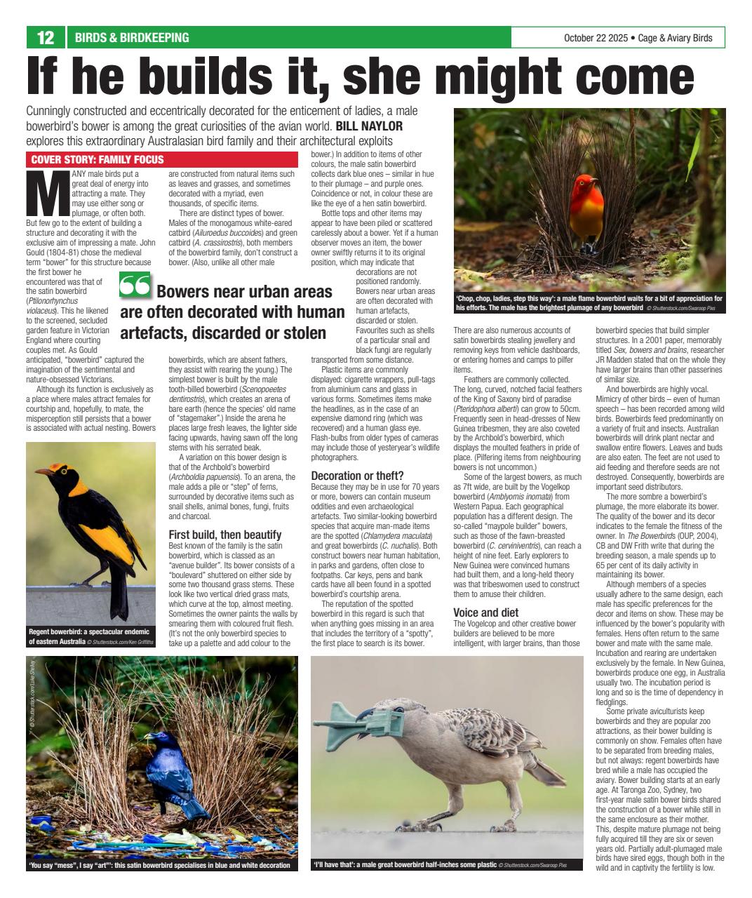 Cage & Aviary Birds Preview Pages