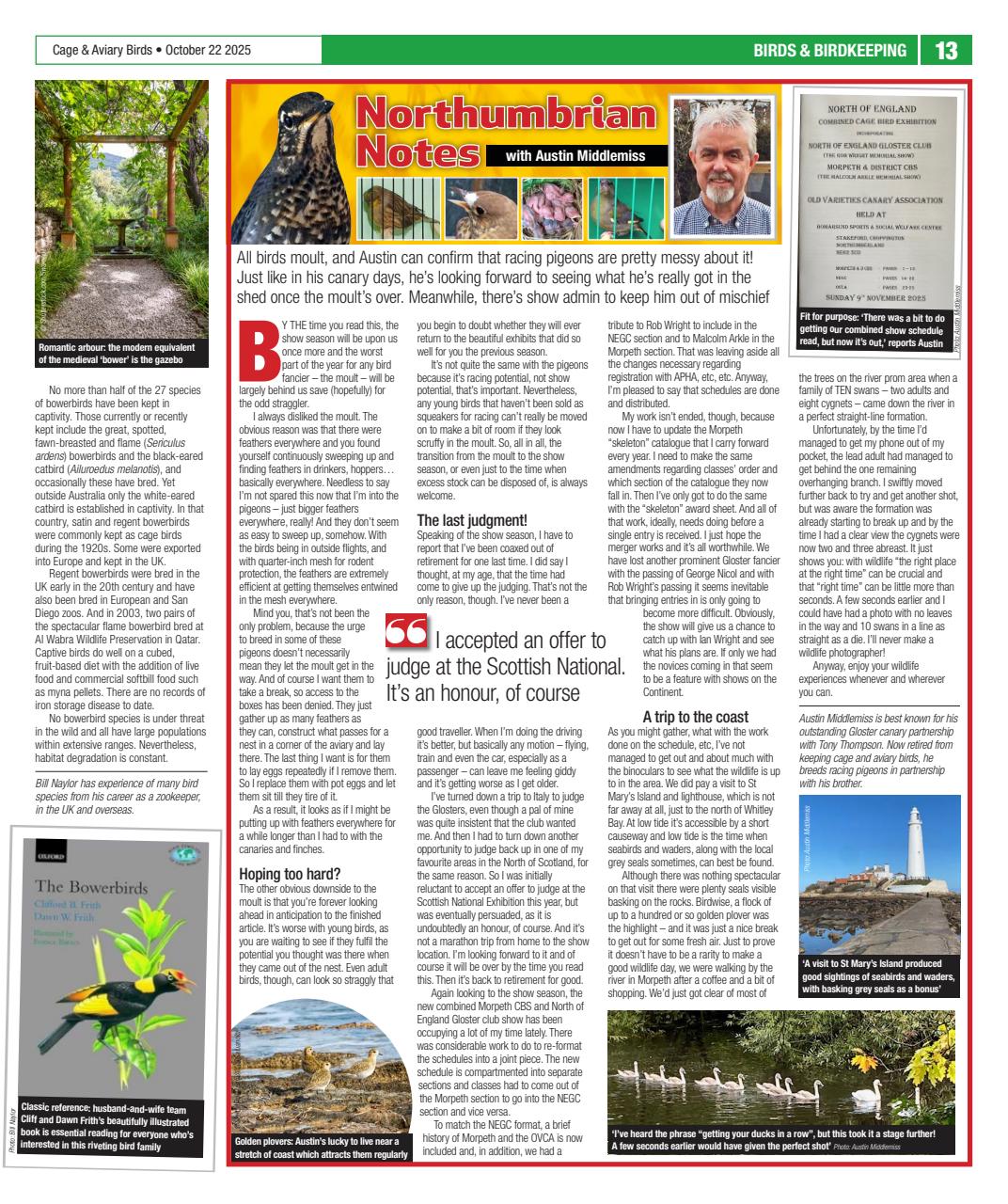 Cage & Aviary Birds Preview Pages