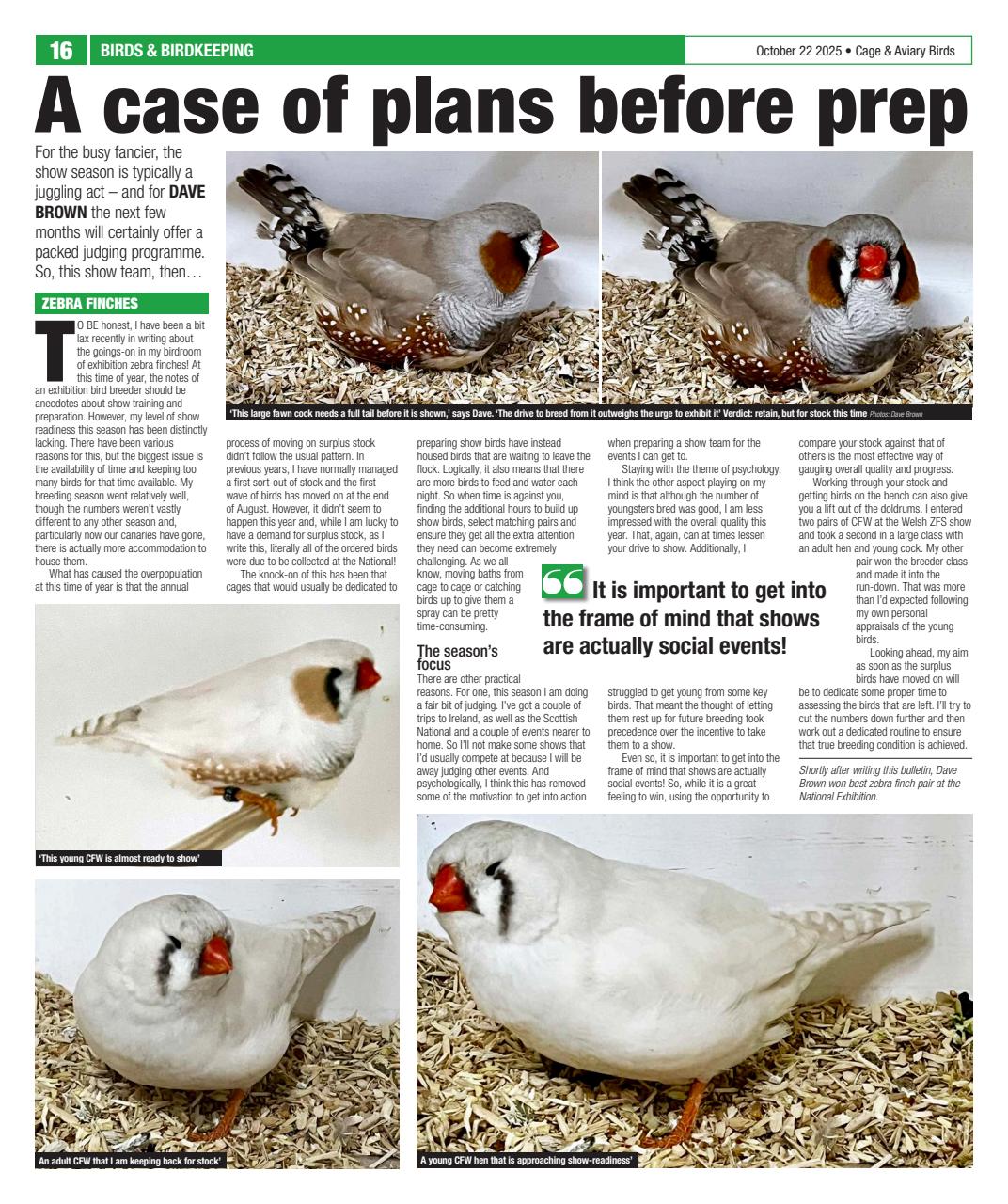 Cage & Aviary Birds Preview Pages