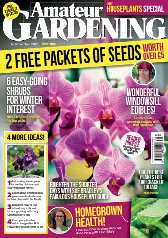 01-Nov-25 issue 01-Nov-25