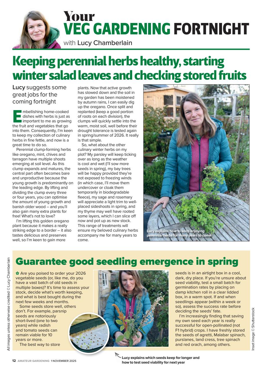 Amateur Gardening Preview Pages