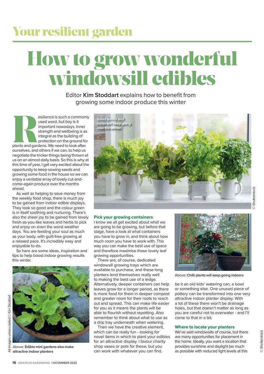 Amateur Gardening Preview Pages