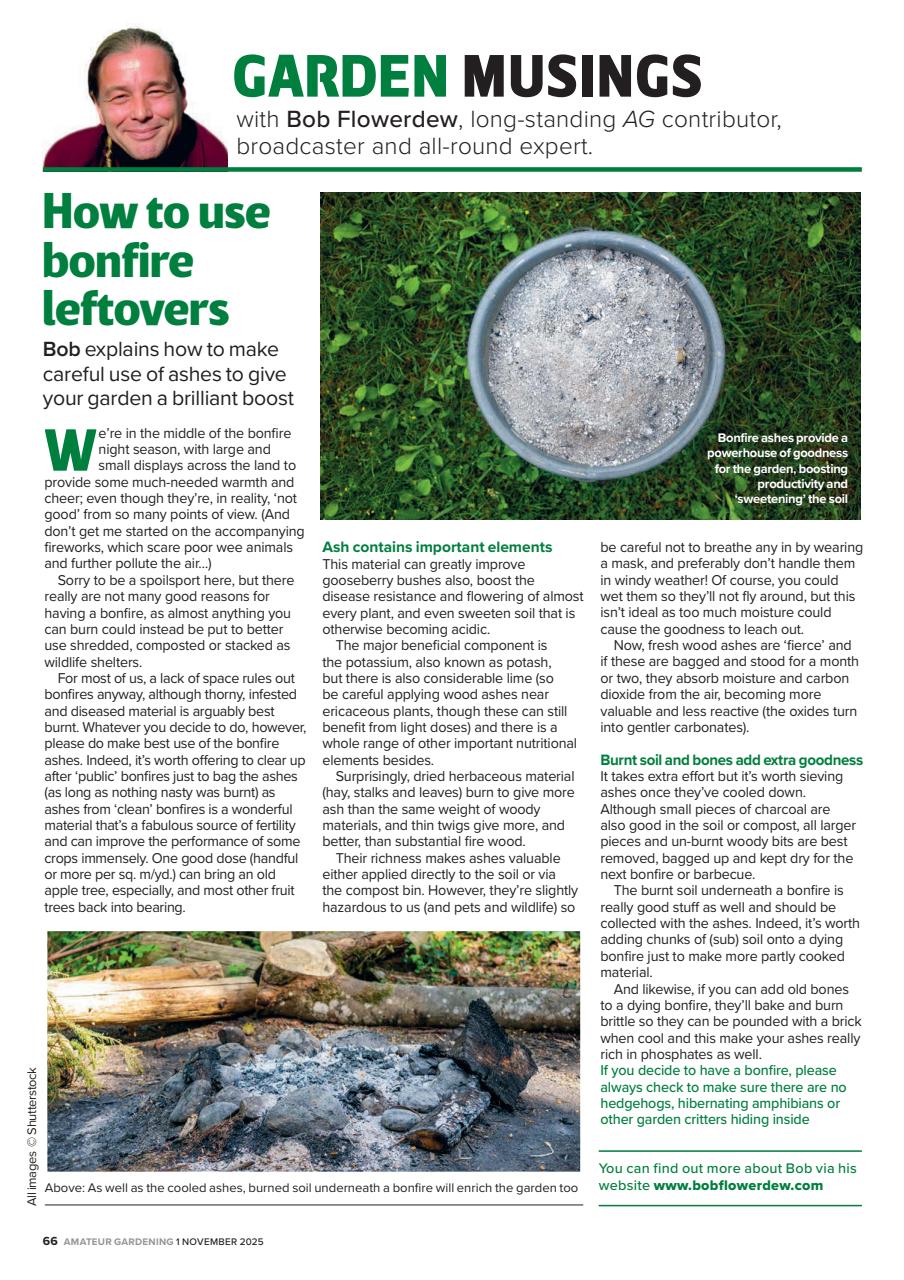 Amateur Gardening Preview Pages