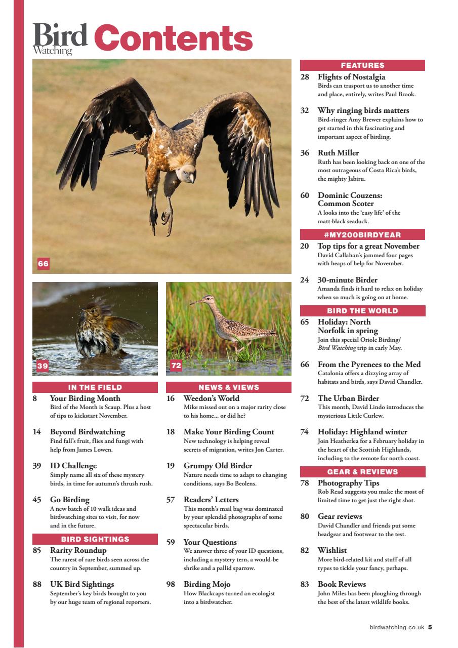 Bird Watching Preview Pages