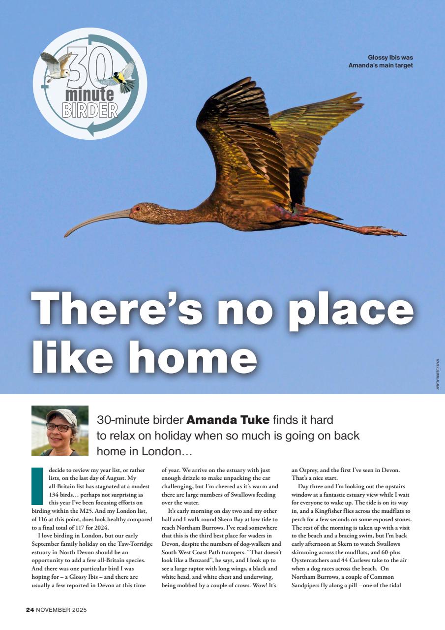 Bird Watching Preview Pages