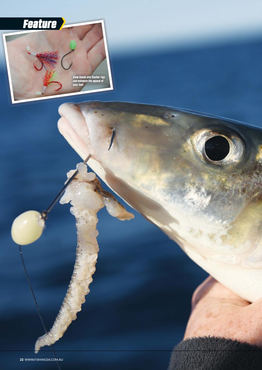 Fishing SA Preview Pages