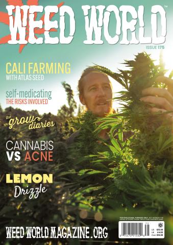 Weed World issue WW175