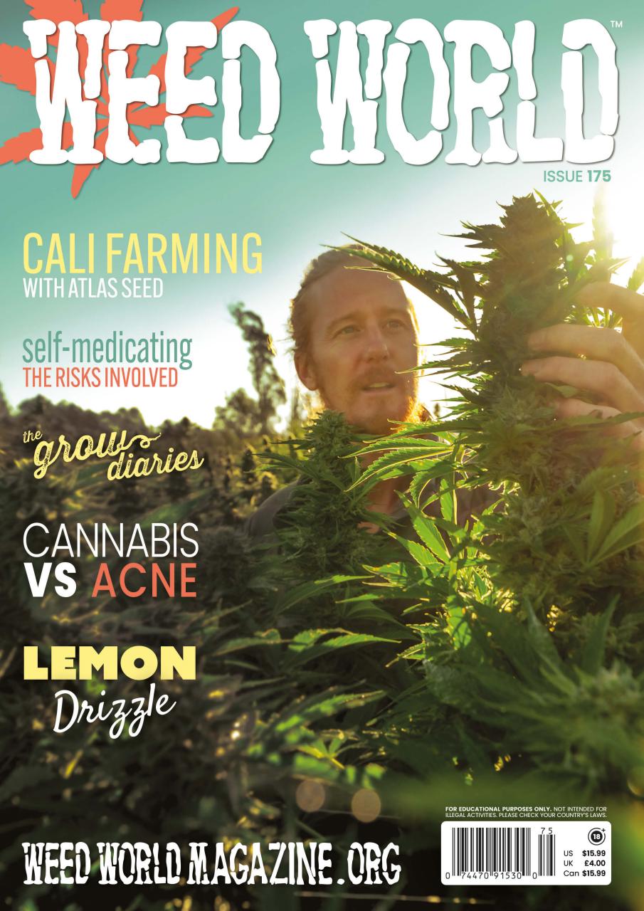 Weed World Preview Pages