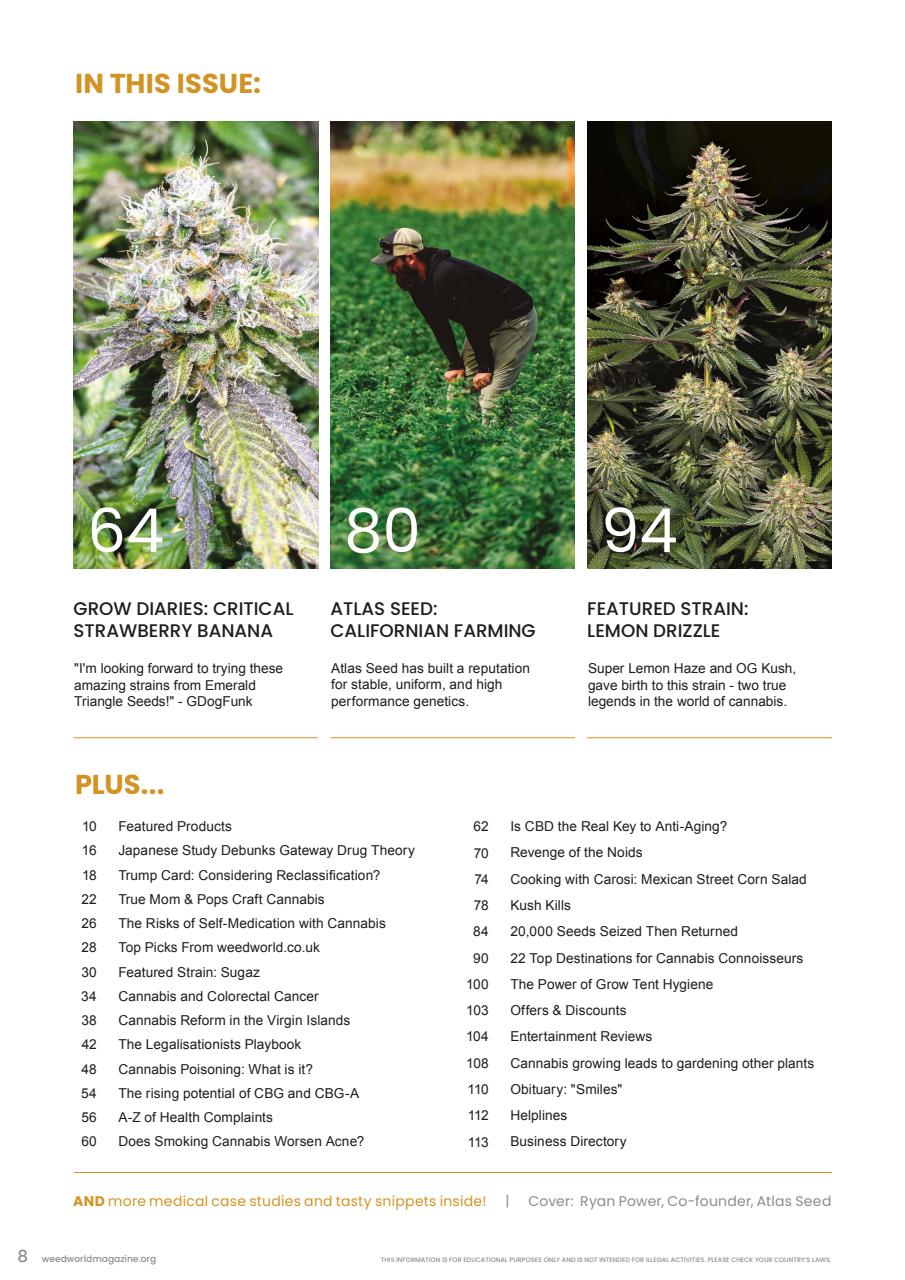 Weed World Preview Pages