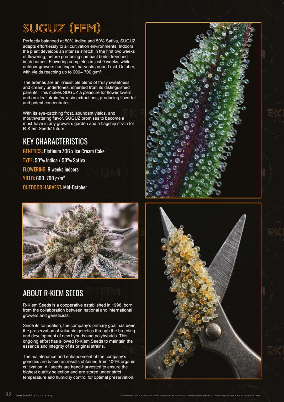 Weed World Preview Pages
