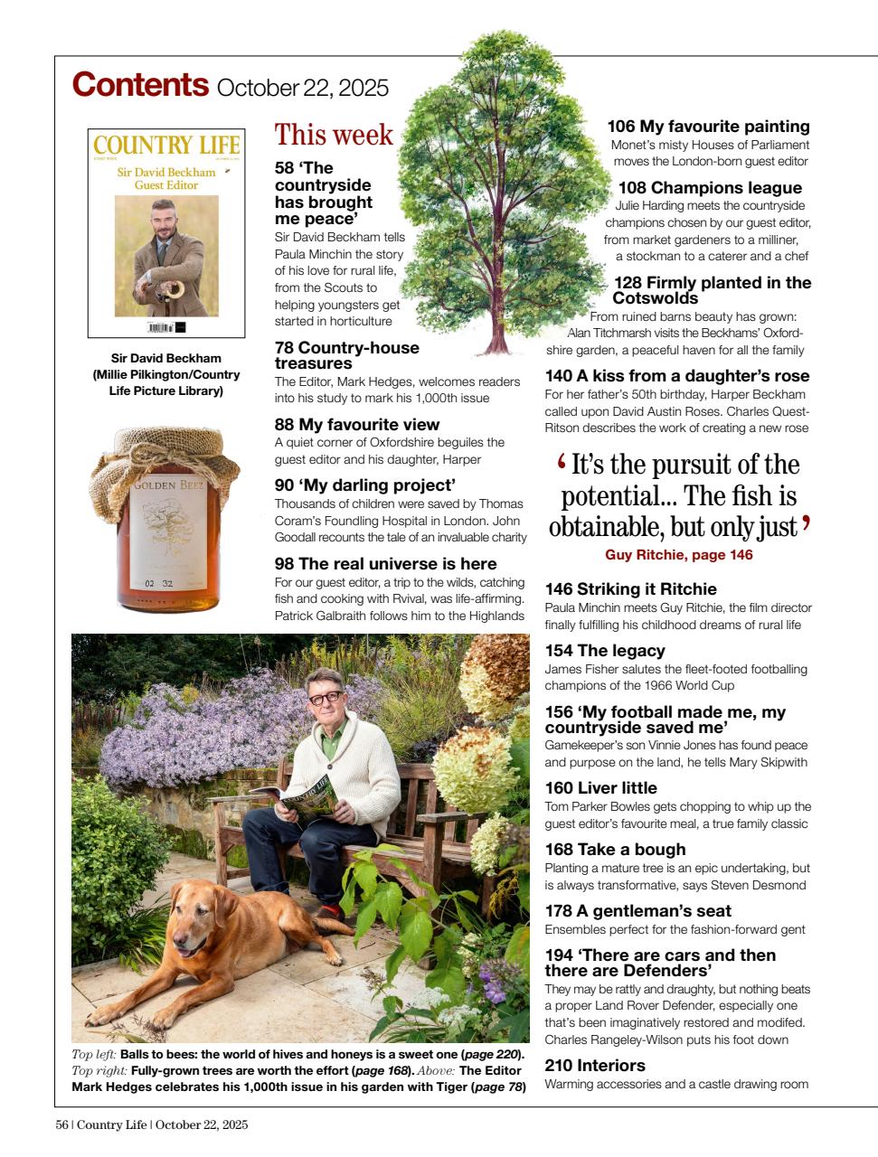 Country Life Preview Pages