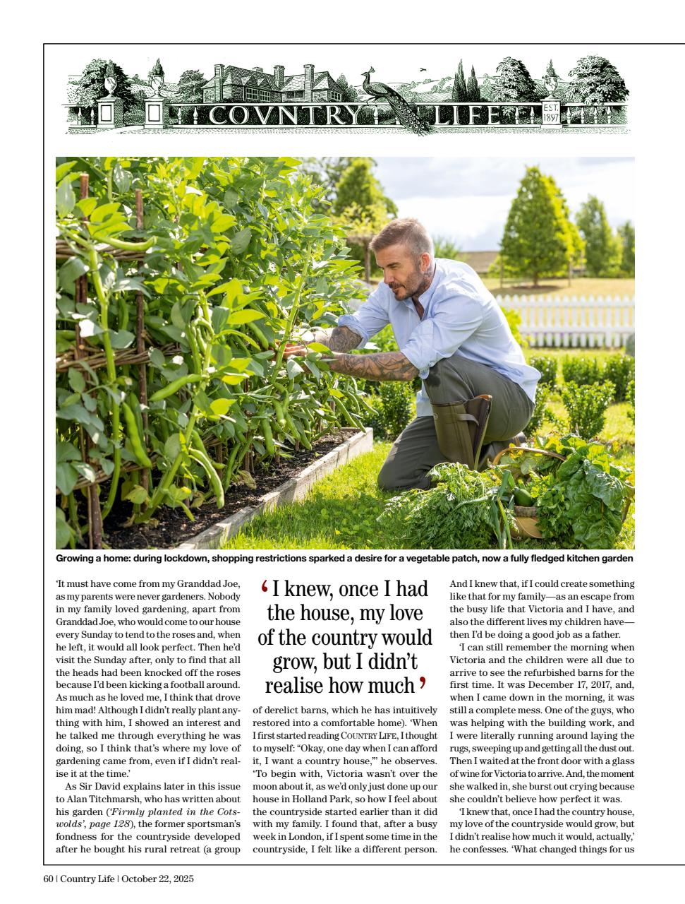 Country Life Preview Pages
