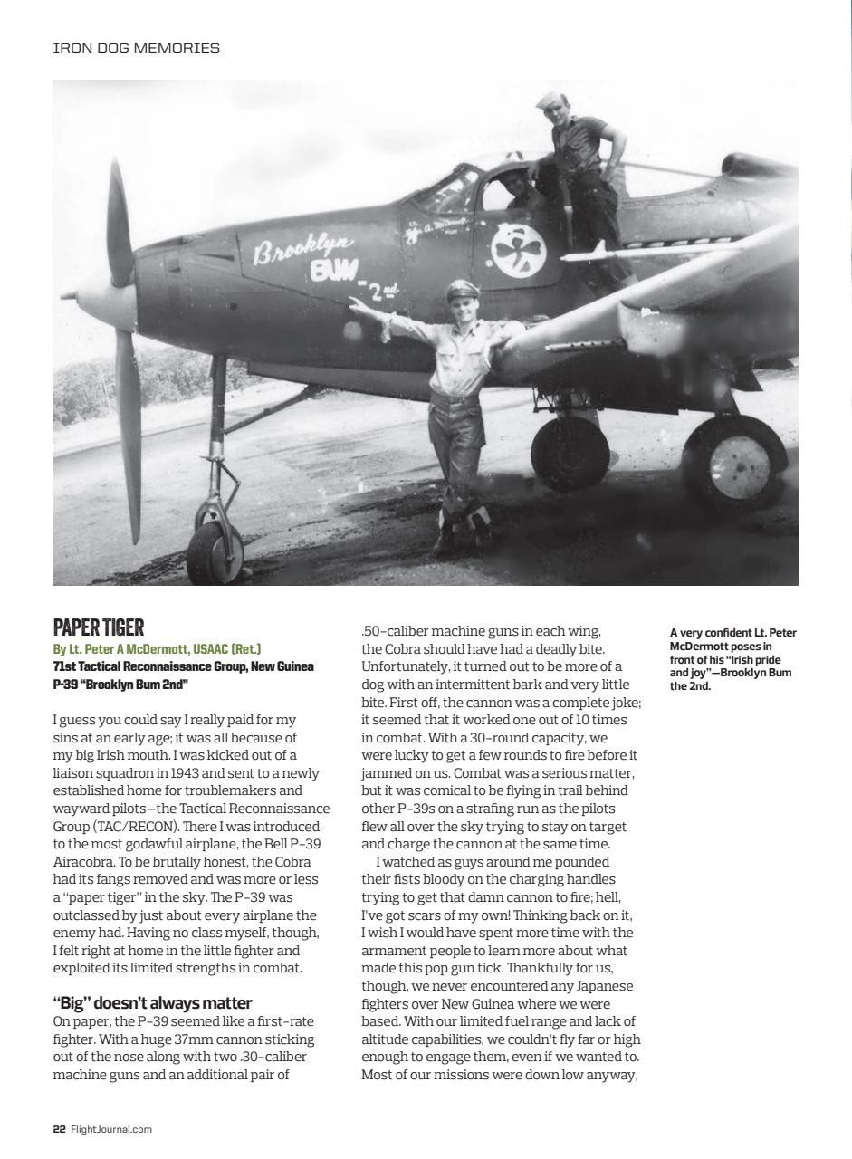 Flight Journal Preview Pages