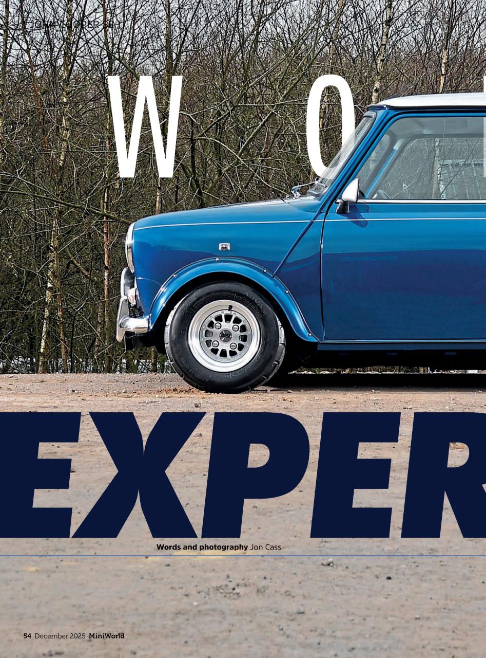 Mini World Preview Pages