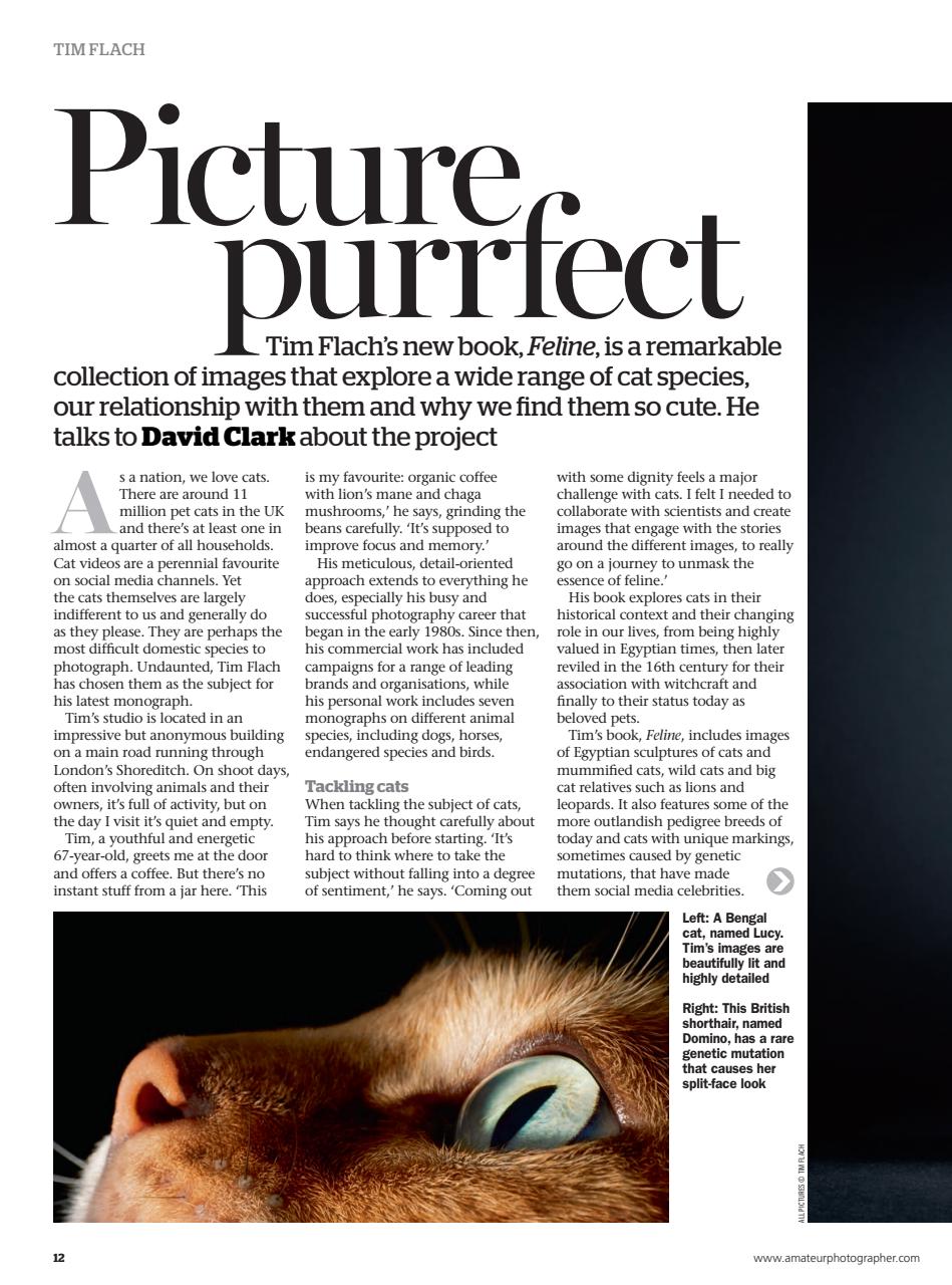 Amateur Photographer Preview Pages