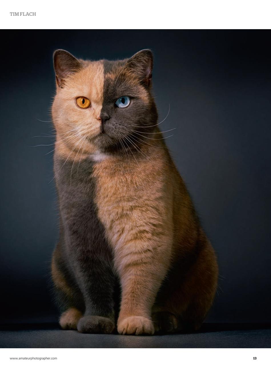 Amateur Photographer Preview Pages