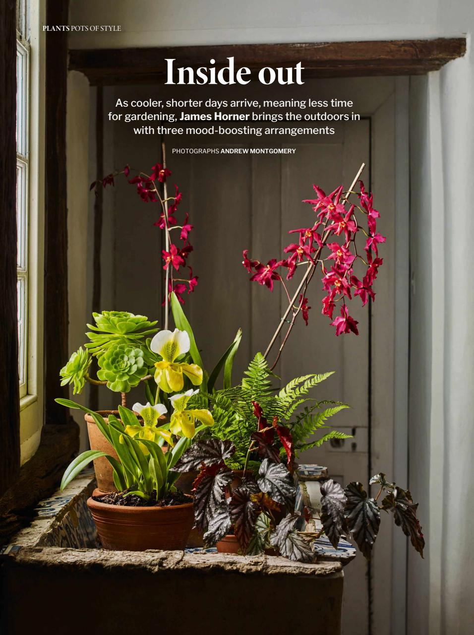 Gardens Illustrated Preview Pages